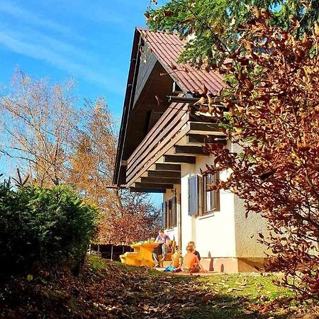 Pet & Family Friendly House Viktorija - House Near Golica With Triglav View Villa Jesenice Dış mekan fotoğraf