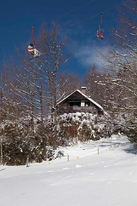 Pet & Family Friendly House Viktorija - House Near Golica With Triglav View Villa Jesenice Dış mekan fotoğraf