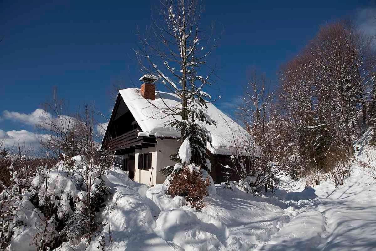 Pet & Family Friendly House Viktorija - House Near Golica With Triglav View Villa Jesenice Dış mekan fotoğraf