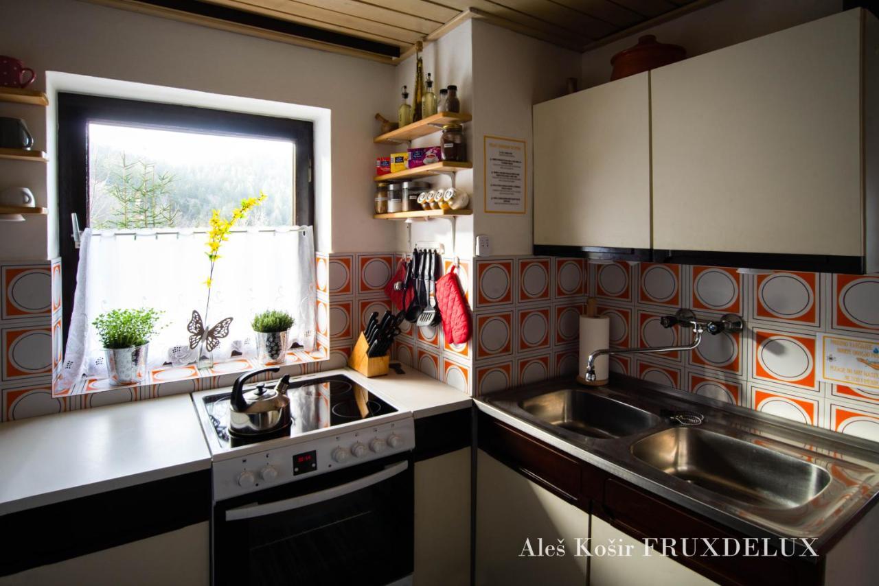Pet & Family Friendly House Viktorija - House Near Golica With Triglav View Villa Jesenice Dış mekan fotoğraf